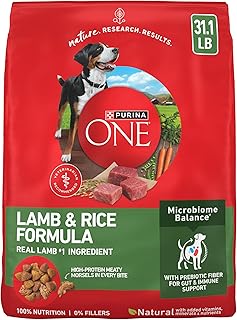 Purina ONE Lamb and Rice Formula Dry Dog Food for Digestive Support | Dog food with real lamb as first ingredient, Microbiome Balanced and prebiotic fiber, supports digestive health