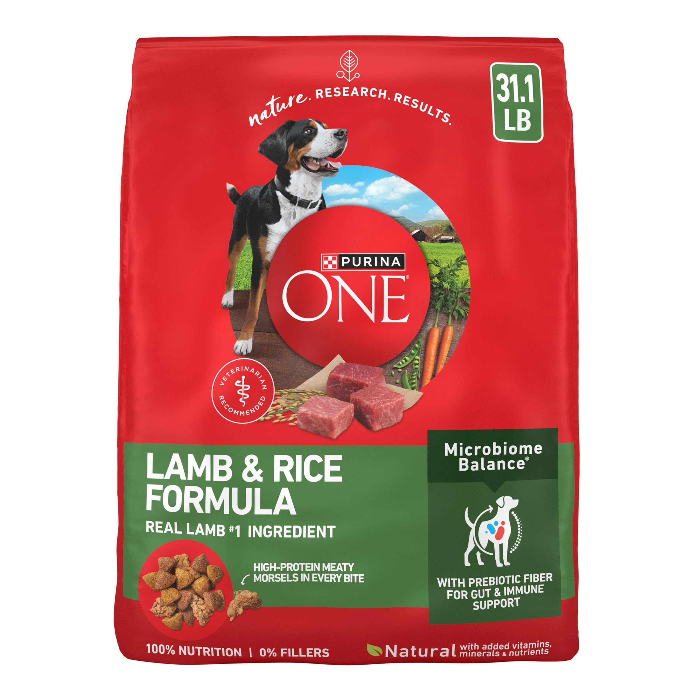 Purina ONE Lamb and Rice Formula Dry Dog Food for Digestive Support | Dog food w