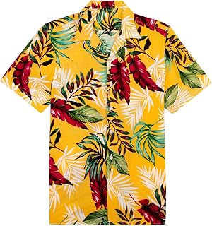 Alimens & Gentle Men's Classic Button Down Shirt (Pack of 1)