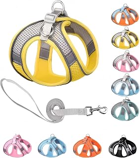 Reflective Threading Dog Harness Breathable Mesh Tow Rope 1.5M Soft Padded Harness for Small Medium Dogs Cats Machine Washable L