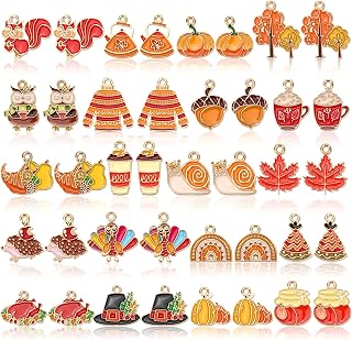 MARFOREVER 40 Pcs/20 Pairs Fall Charms for Jewelry Making Autumn Charms | Thanksgiving Charm for Jewelry Making, Fall Pumpkin Maple Leaf Turkey Enamel Pendants, Bracelet Necklace Earrings Making