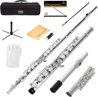 Mendini by Cecilio 16 Keys Closed Hole C Flute Kit for Beginners - Nickel | Beginner Flute Kit with Carrying Case, Stand, Tuning Rod, Adjustment Screws, Cork Grease, Lesson Book, Cleaning Kit, Gloves