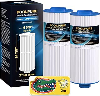 POOLPURE 6CH-960 Spa Filter Replaces Jacuzzi Filters J-300, J400, 6540-383 | Compatible with PJW60TL-F2S, 14081, 6000-383A, FC-2800, 6540-476 Hot Tub Filter with Closed Handle(Not be Removed) 2 Pack