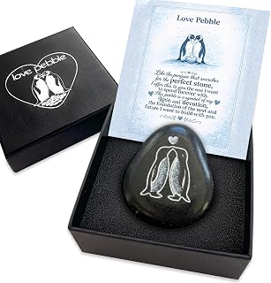Faythory Penguin Love Pebble, Romantic Gift for Boyfriend or Girlfriend | Engraved natural stone with gift box and message card; anniversary, Christmas or proposal gift for husband, wife or fiancé