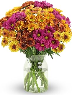 Benchmark Bouquets Fresh Flowers for Delivery Real Daisies with Glass Vase | Fresh Fall Flowers with Keepsake Vase for Birthday, Get Well, Sympathy, Mom Birthday Gifts for Women, Sister, Grandma, Wife