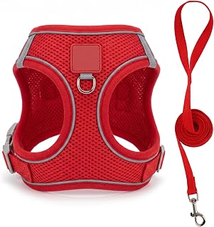 Dog Harness and Leash Set, Adjustable Soft Mesh Dog Harness and Leash Set with Breathable Vest for Daily Walking Red Large Size