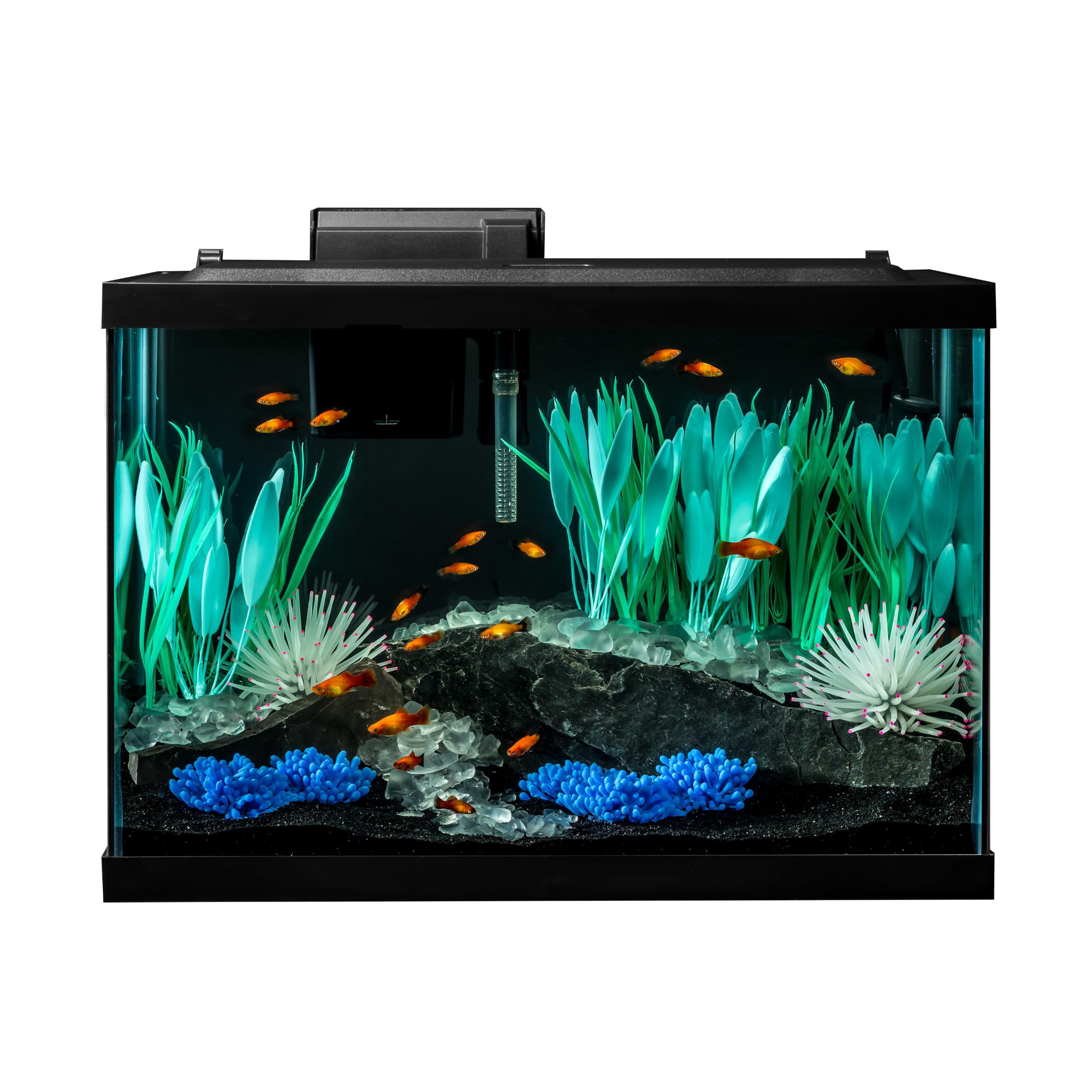 Tetra ColorFusion 20 Gallon Complete Aquarium Kit | Fish Tank Kit Includes Color