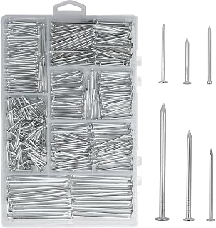 376PCS Galvanized Nails Kit with Storage Box, 6 Sizes for Hanging Pictures | Rustproof Coating, Sharp Tips Resist Bending, Sturdy Case, Great for DIY, Crafts & Home