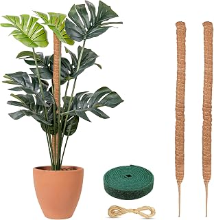 EcoNour Moss Pole 2PCS 48 Inches Monstera Plant Support Sticks | Coco Coir Plant Support Stakes for Small Potted Climbing Plants – Elevate Indoor Potted Plants to Grow Upwards