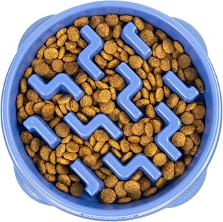 Outward Hound Fun Feeder Slo Bowl Dog Slow Feeder, Notch, Blue, 8.8" | Slows Fast Eaters, Can Aid Digestion, Holds 2 Cups Dry or Wet Food, Non-Slip, Easy Clean, No BPA, Small to Medium Dogs & Cats