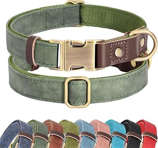 Didog PU Leather Dog Collar for Small Dogs Puppy, Soft Lining, Green S | All-day Comfort for Daily Walks and Backyard Play, Quick Release Metal Buckle for Easy On & Off, D-Ring for Leash, Easy Clean