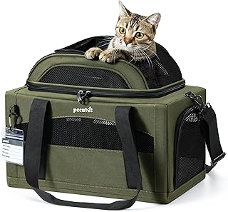 Pecute Top-Expandable Cat Carrier Breathable Dog Carrier Soft-Sided,Green