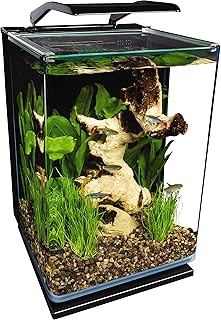 Marineland Portrait 5 Gallon Fish Tank Kit | Aquarium Kit Includes LED Light, 5 Gallon Glass Tank, Filter & Cartridge, For Freshwater Fish