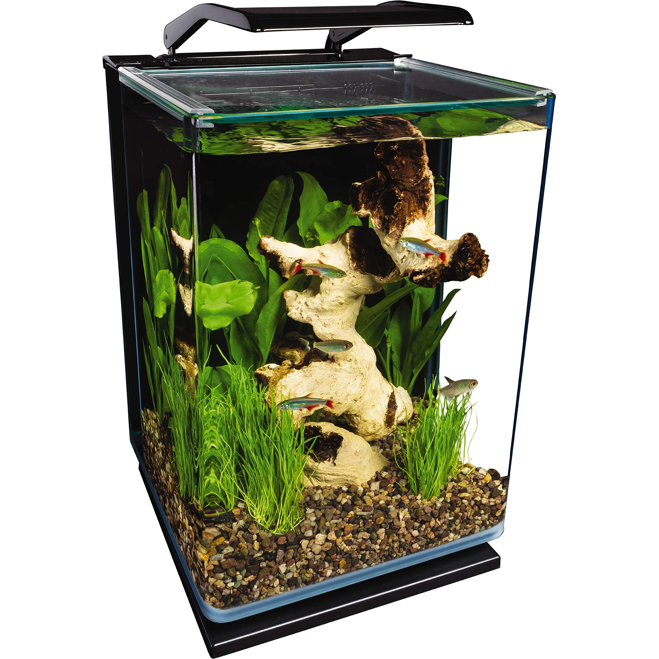 Marineland Portrait 5 Gallon Fish Tank Kit | Aquarium Kit Includes LED Light, 5 