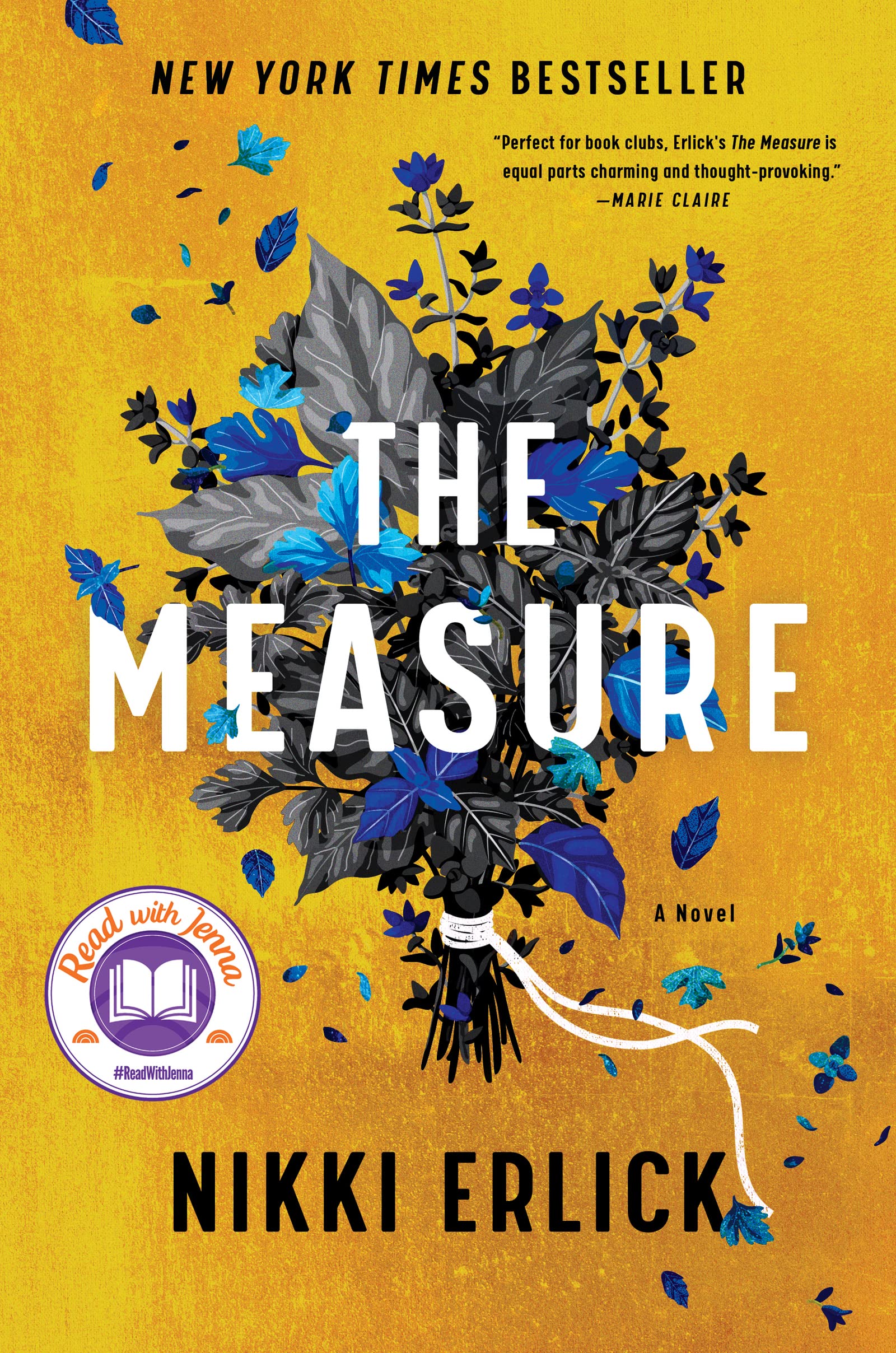 The Measure: A Novel – The Instant New York Times Bestseller About Hope, Destiny