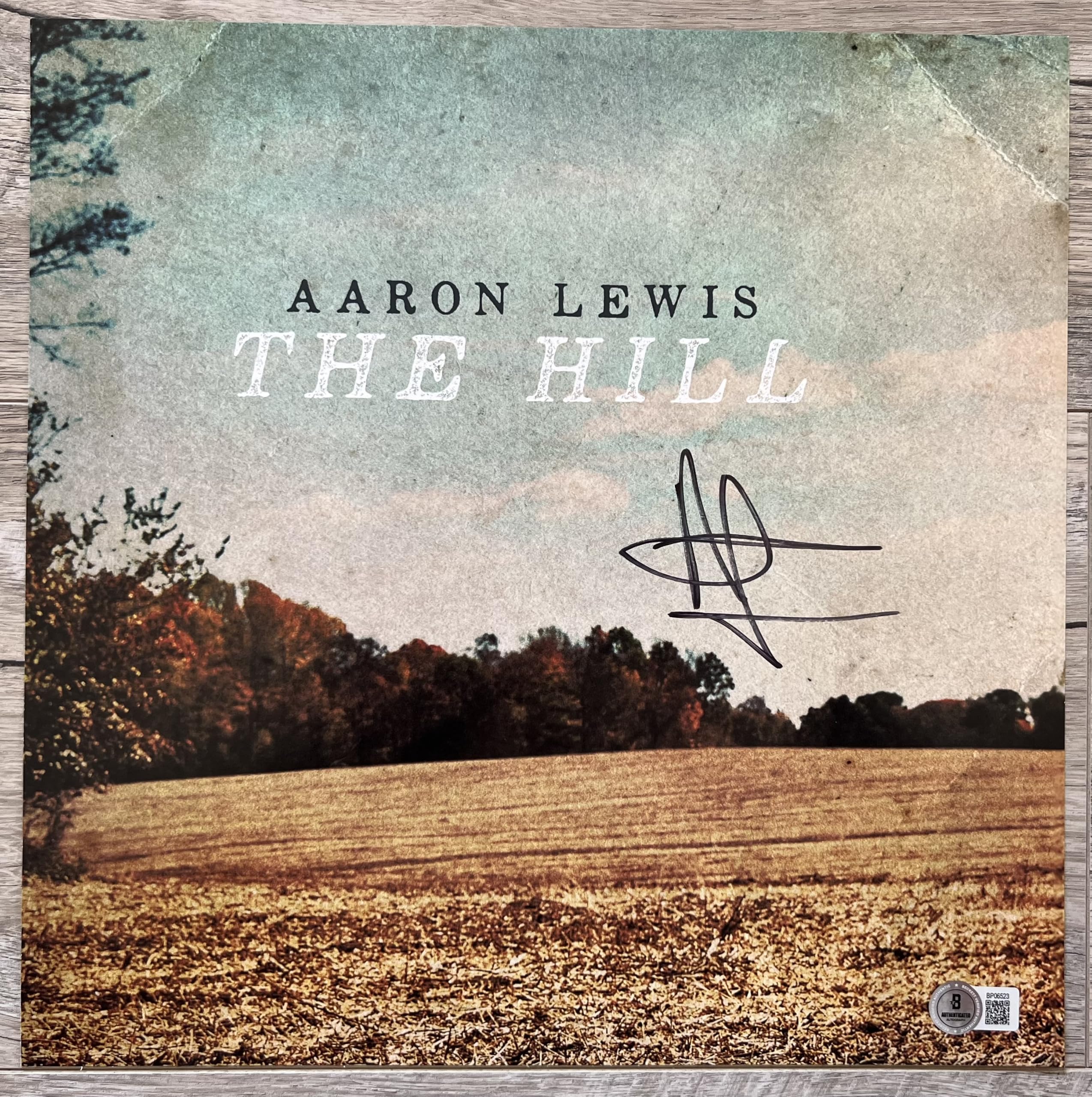 Aaron Lewis COUNTRY Autographed Signed THE HILL Album Vinyl INSERT Beckett BAS