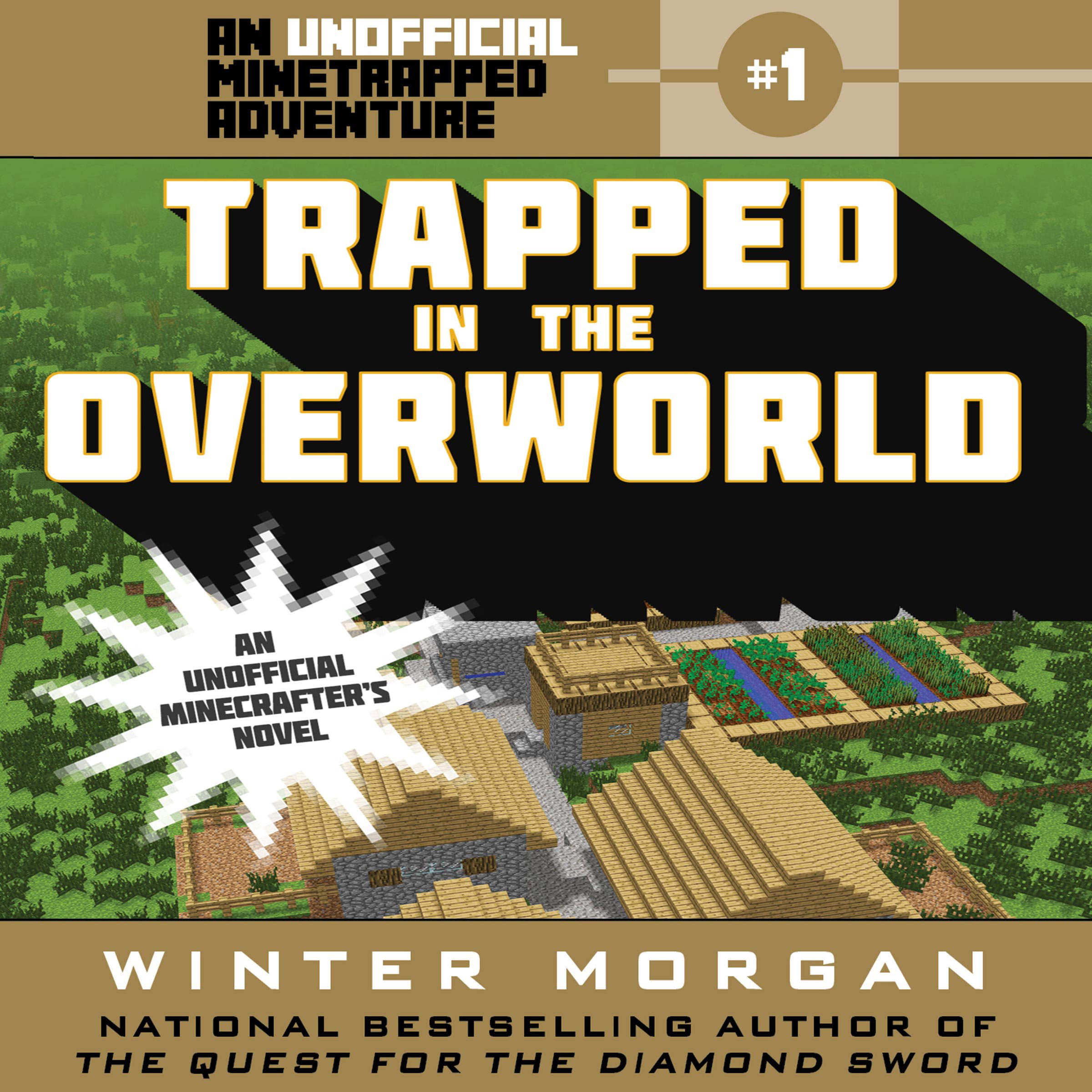 Trapped in the Overworld