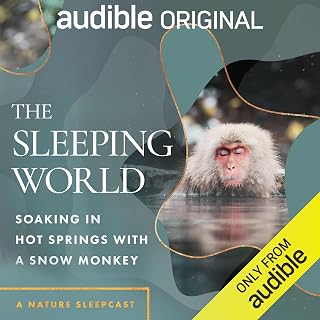 The Sleeping World: Soaking in Hot Springs with a Snow Monkey
