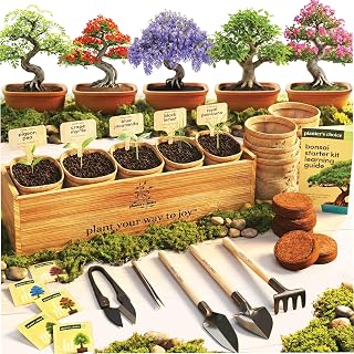 Bonsai Tree Starter Kit - Indoor Live House Plants - 5 Bonsai Tree | Birthday Gifts for Women, Men, Adults - Adults Craft Kits - Unique Hobby Gift Gardening Lovers - Gift Ideas Mom, Her, Friend