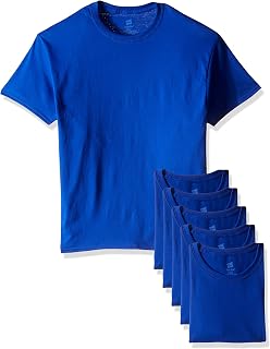 Hanes Men's EcoSmart T-Shirt (Pack of 6)