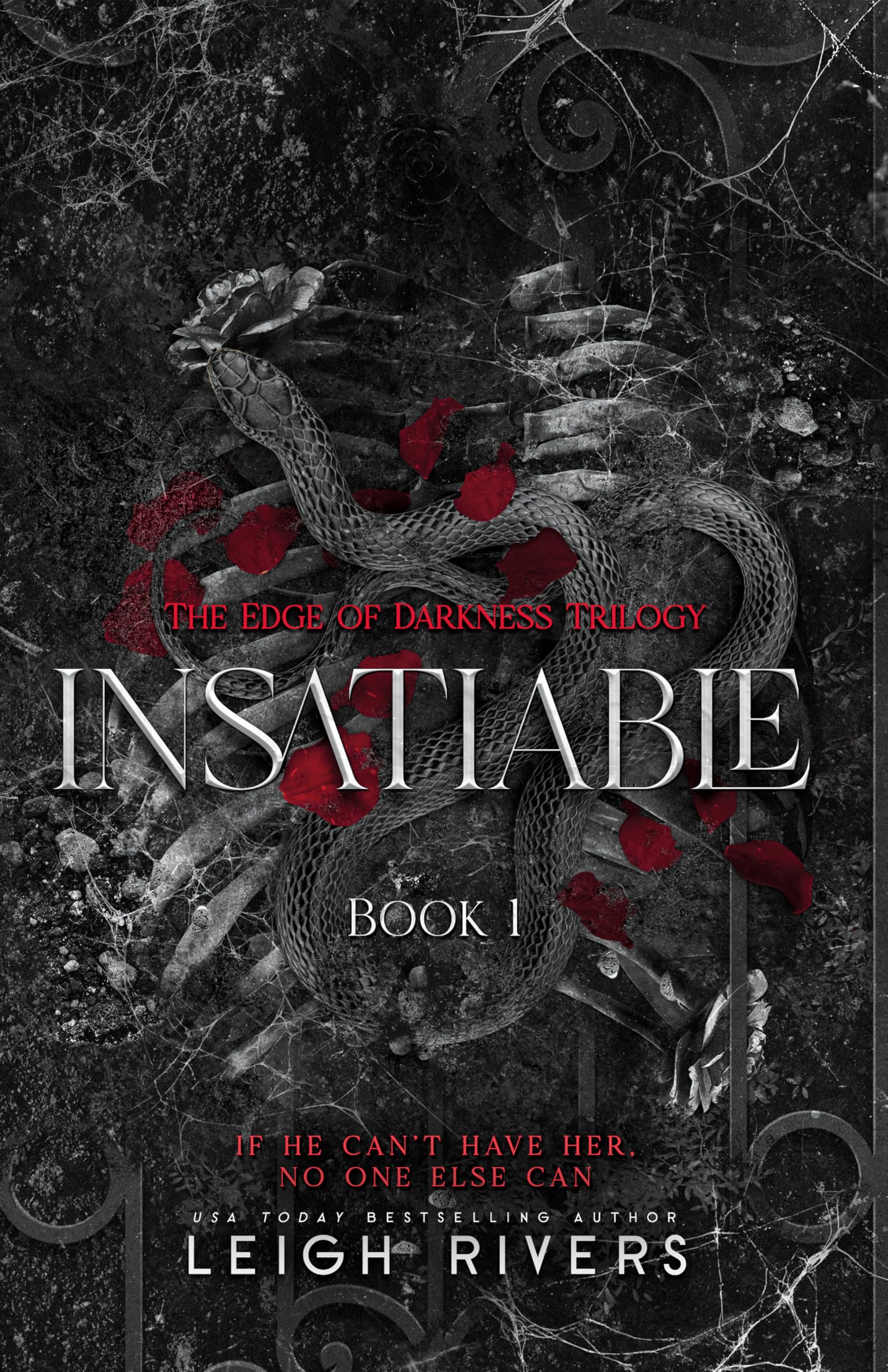 Insatiable (The Edge of Darkness: Book 1) (The Edge of Darkness Trilogy)
