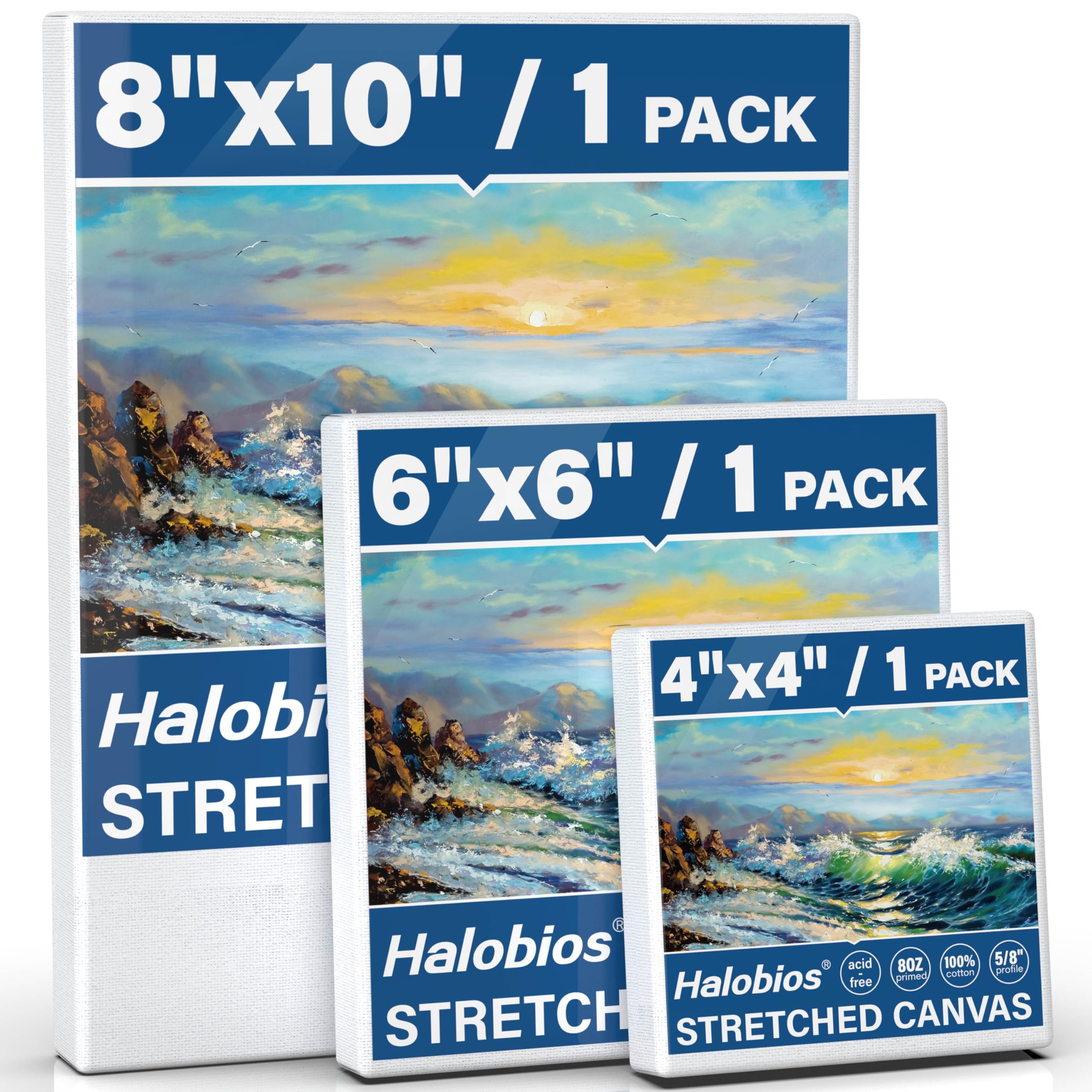 Halobios Stretched Canvases for Painting with 4x4 Inch, 6x6 Inch, 8x10 Inch, 3 P