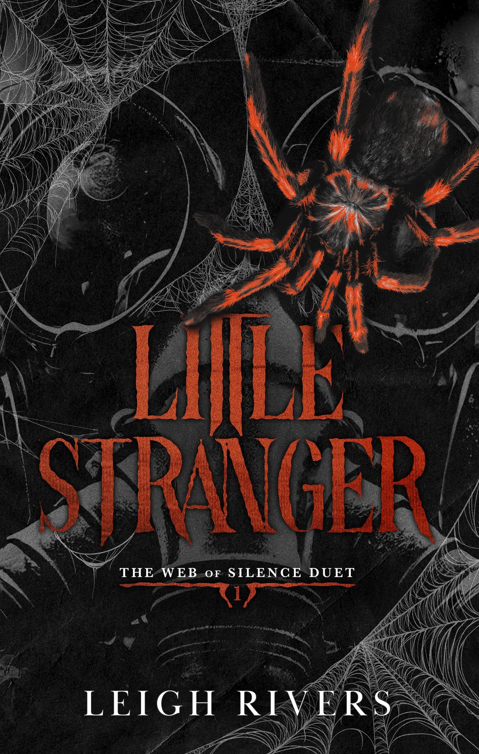 Little Stranger (Web of Silence Book 1)