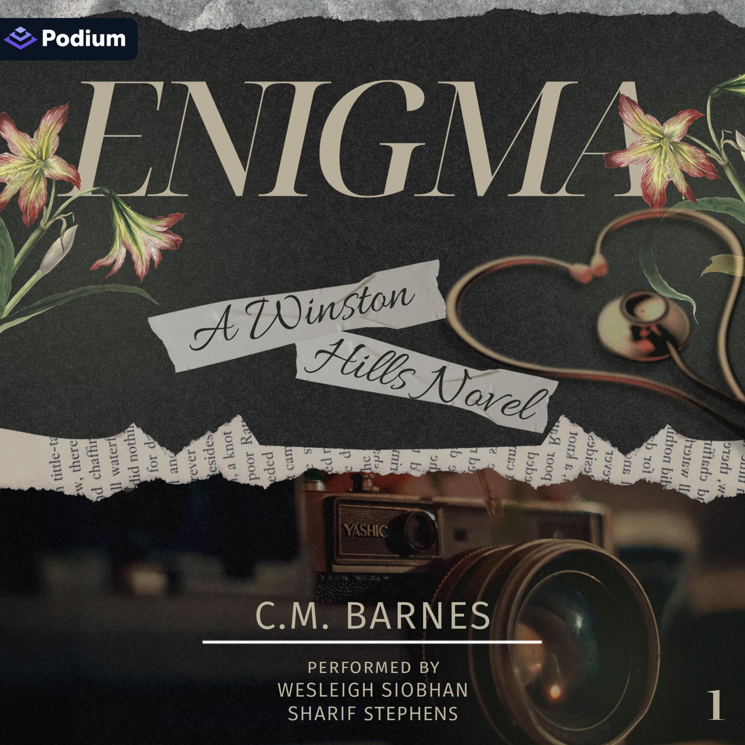Enigma: Winston Hills, Book 1