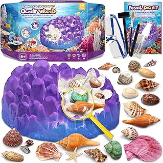 PIBEX Ocean Fossil Dig Kit, 20+ Real Shells & Seasnails, Sea Creature Toy
