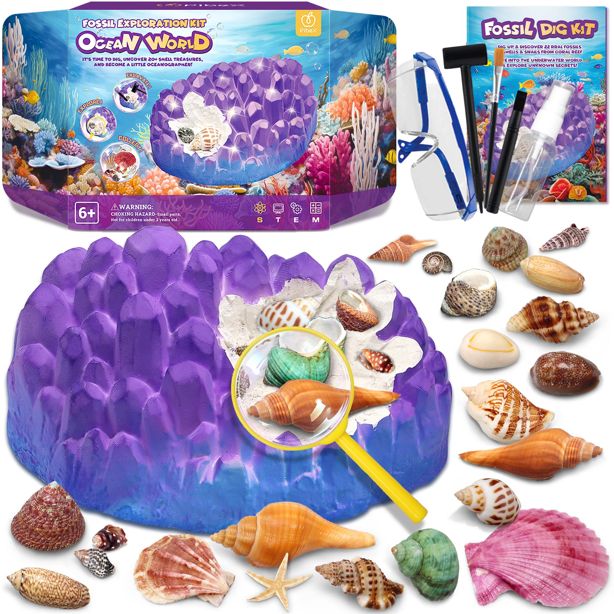 PIBEX Ocean Fossil Dig Kit, 20+ Real Shells & Seasnails, Sea Creature Toy