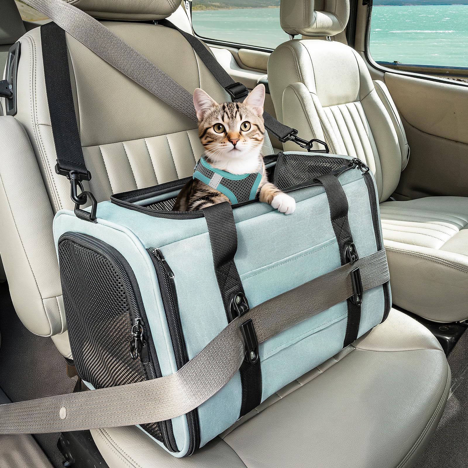 PETSFIT Cat Carrier Soft with Patented Safety Buckles, Safe for Car Travel | Loc
