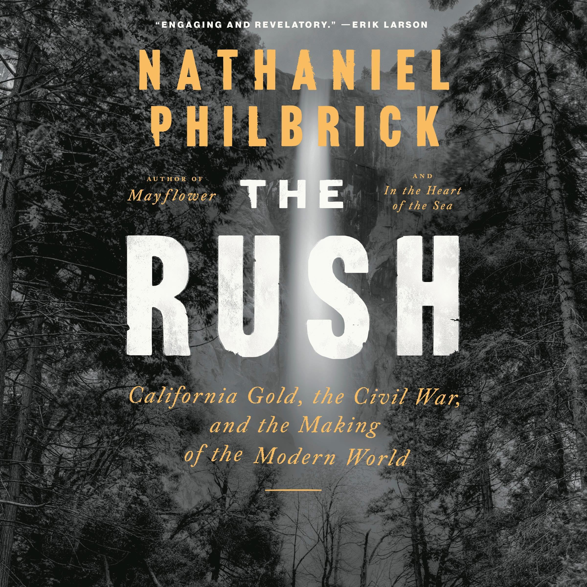 The Rush: California Gold, the Civil War, and the Making of the Modern World