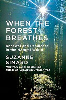 When the Forest Breathes: Renewal and Resilience in the Natural World