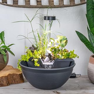 Aquascape AquaGarden Tabletop Pond and Fountain Kit, Gray, 78347