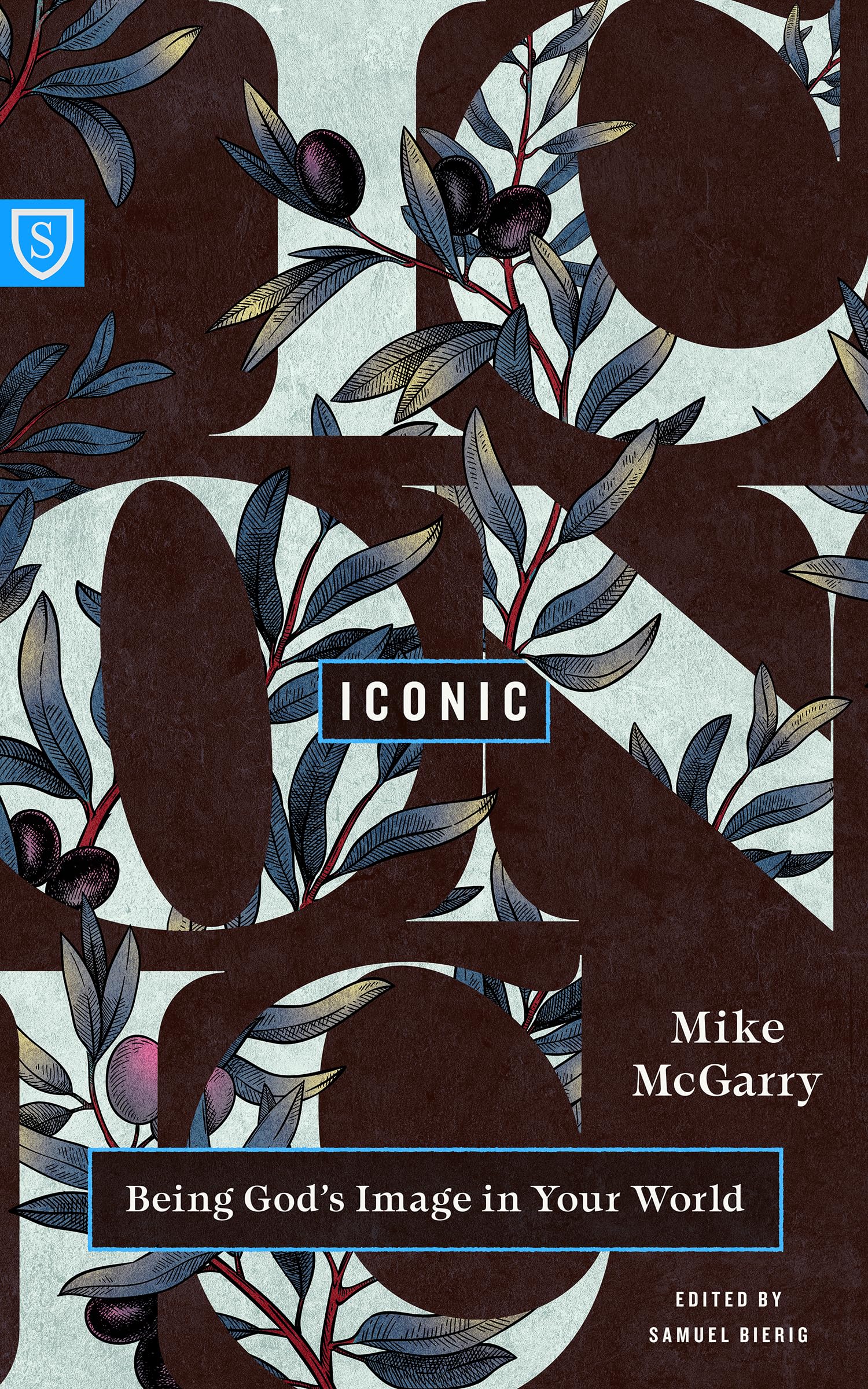 Iconic: Being God's Image in Your World (Real World Theology)