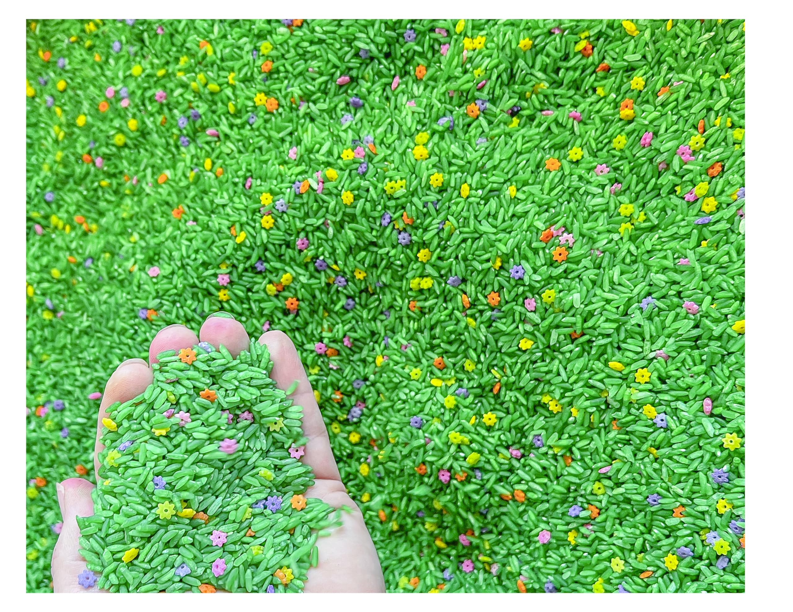 Sensory-N-Stuff Sensory Bin Filler for Sensory Table - Colored Rice for Sensory 