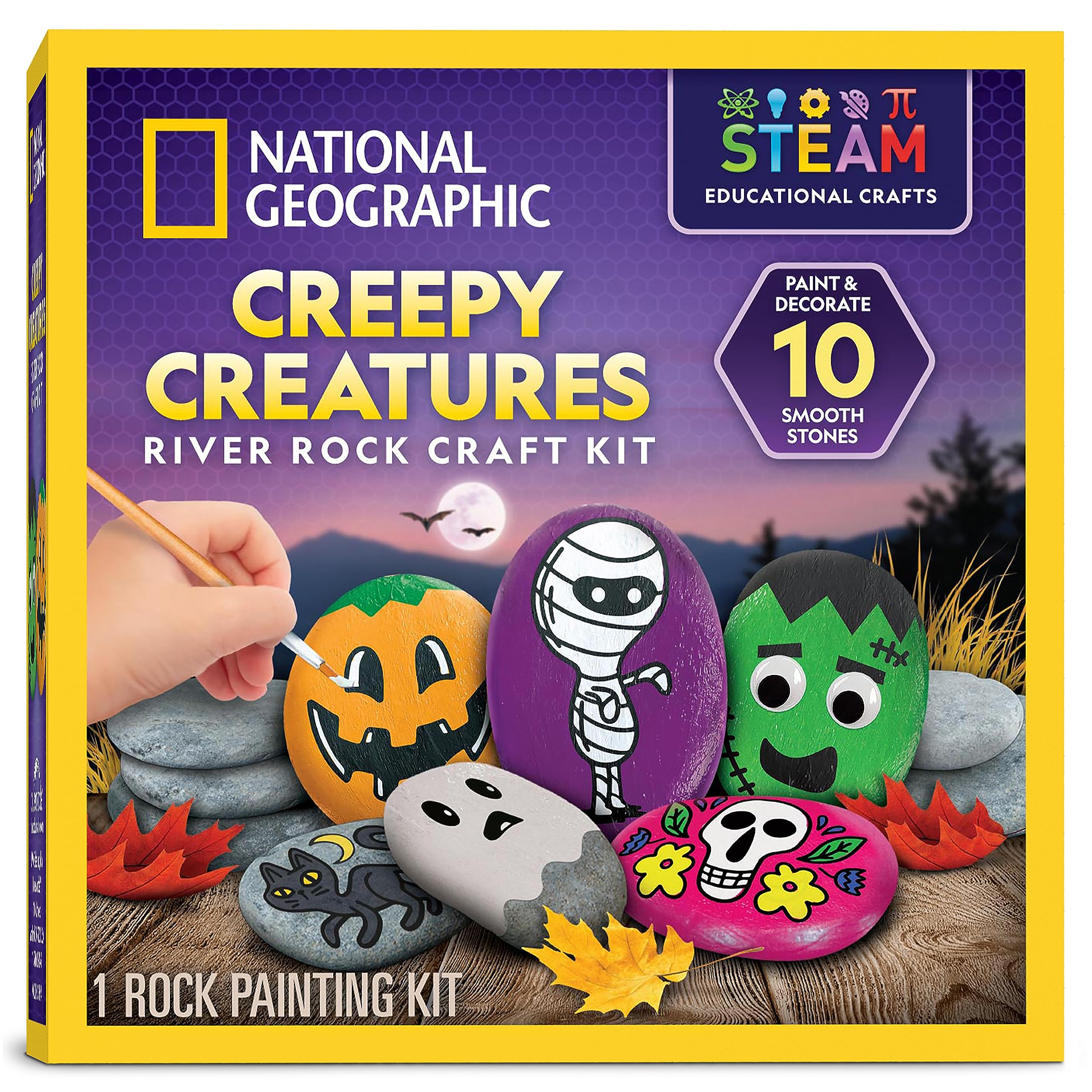 National Geographic Creepy Creatures Rock Painting Halloween Craft Kit | 10 Rive