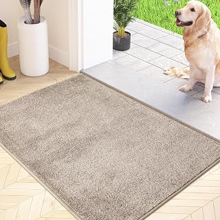 FCSDETAIL Indoor Doormat, 60 x 90 cm, Non-Slip Entrance Mat