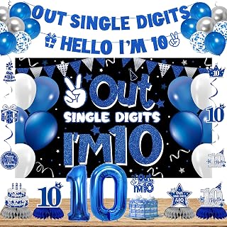 DARUNAXY Blue 10th Birthday Party Decorations for Boys Girls(28PC)