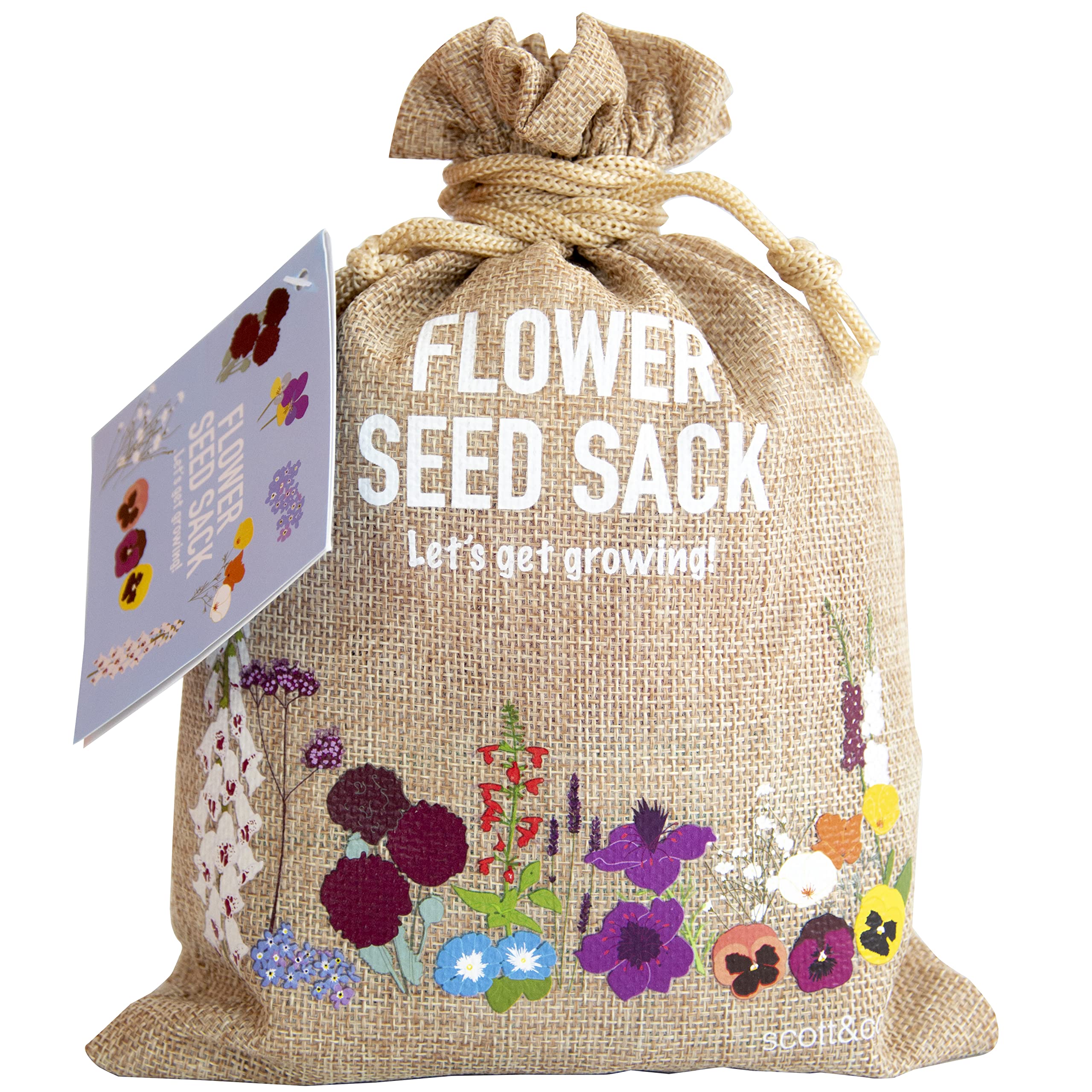 Scott&Co. Flower Seed Variety Pack - 30 Different Varieties of Flower Seeds to G