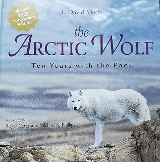 The Arctic Wolf: Ten Years With the Pack