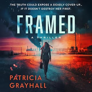 Framed: A Thriller