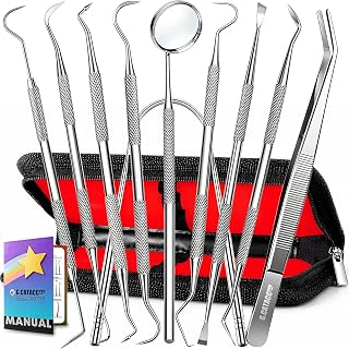 G.CATACC 10 Pack Dental Tools Kit, Professional Teeth Cleaning Set | Rustproof Stainless Steel, with Case, for Plaque & Tartar Removal, for Adults, Family & Pets, Multi Purpose Oral & Craft Use