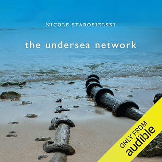 The Undersea Network