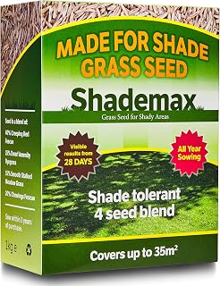 Shademax – Grass Seeds for Shady Areas, Lawn Seeds for Shade, Shady Grass Seed, Lawn Seed (1kg)