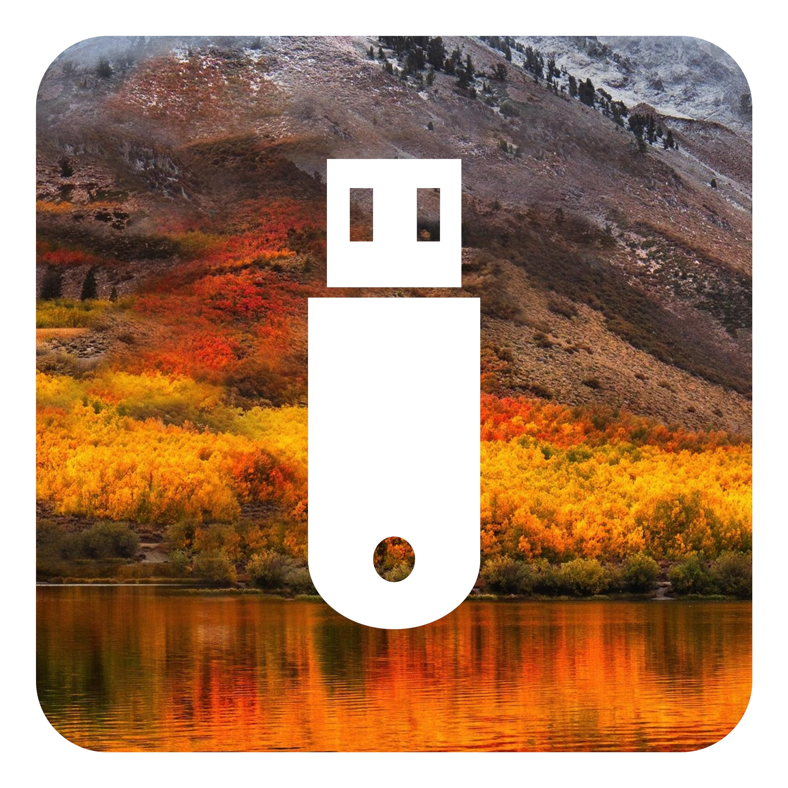Clé d’Installation Compatible avec macOS 10.13 High Sierra