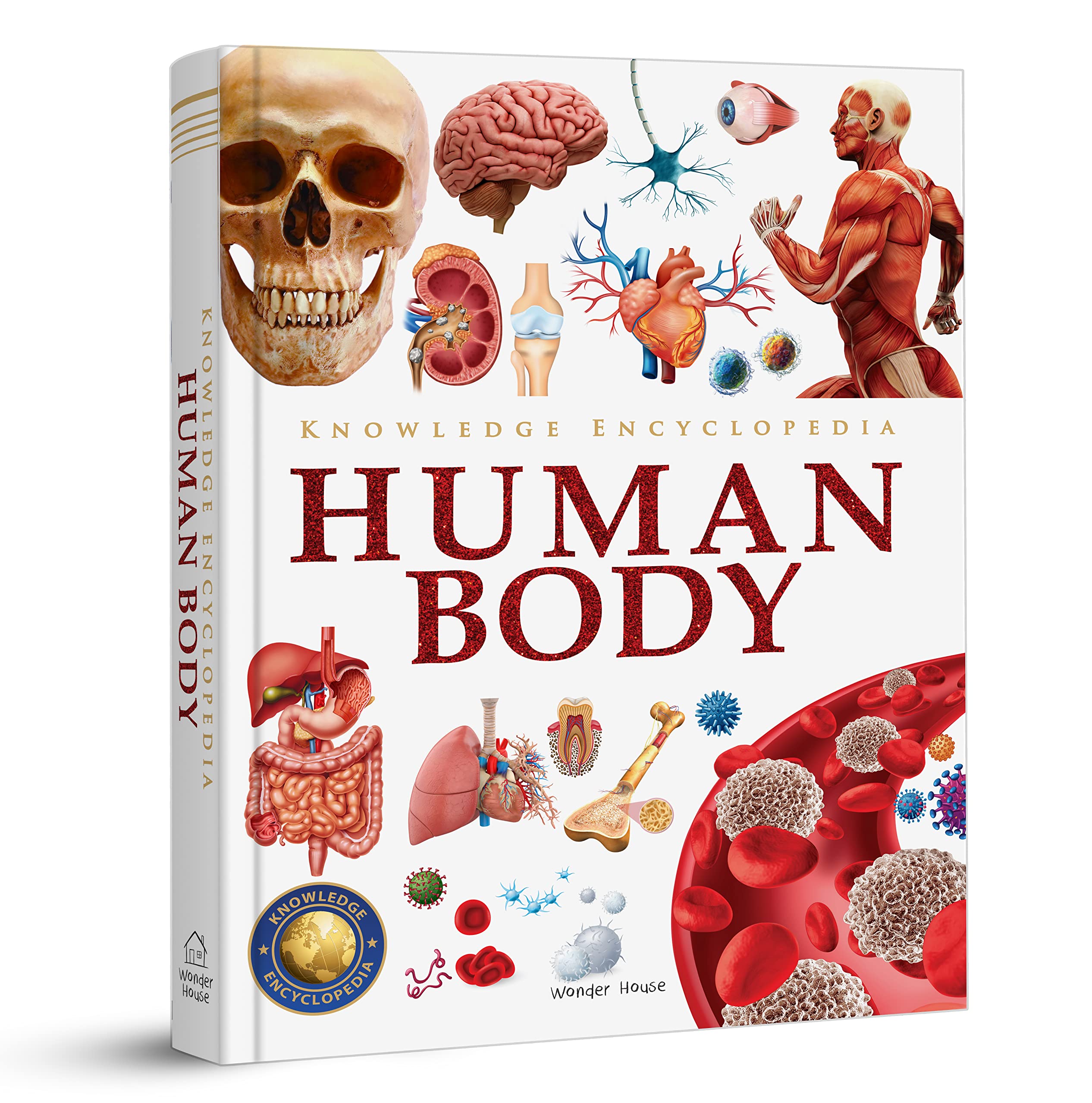 Knowledge Encyclopedia Human Body