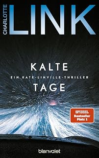 Kalte Tage (Die Kate-Linville-Reihe, Band 6)