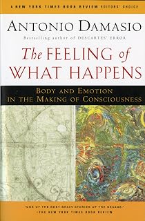 The Feeling Of What Happens: Body and Emotion in the Making of Consciousness ― A Groundbreaking Neuroscience Classic on the Nature of the Self