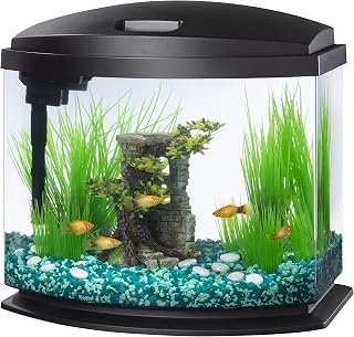 Aqueon LED MiniBow Small Aquarium Fish Tank Kit with SmartClean Technology, Small Fish Tank, Black, 5 Gallon